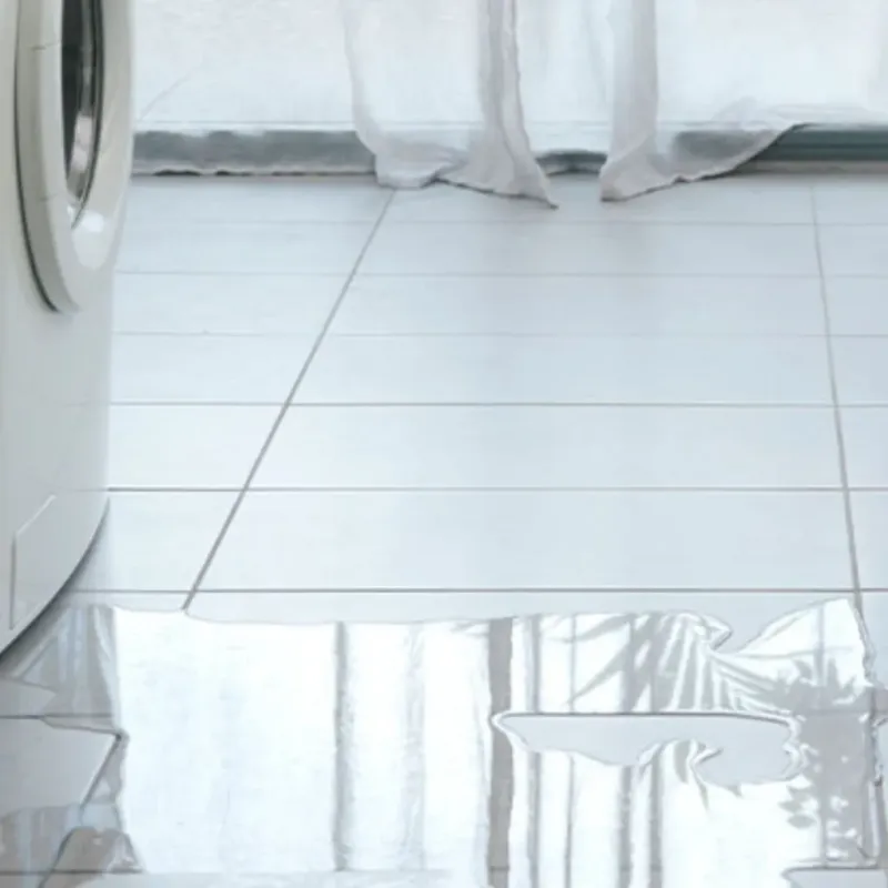 Appliance Leak Cleanup in Hazel Park, MI