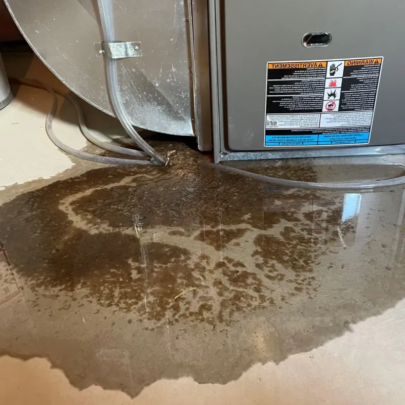 Pipe Burst and Leak Restoration in Hazel Park, MI