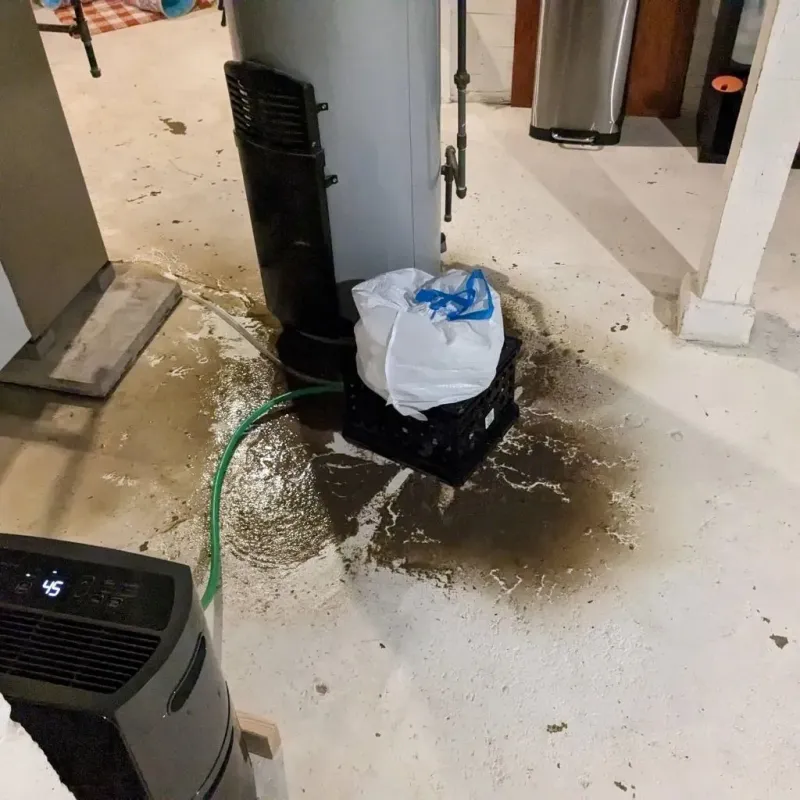 Sewage Backup Cleanup Service in Hazel Park, MI